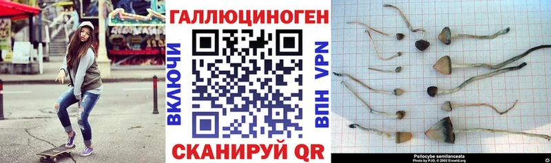 Псилоцибиновые грибы MAGIC MUSHROOMS  Нефтекумск 